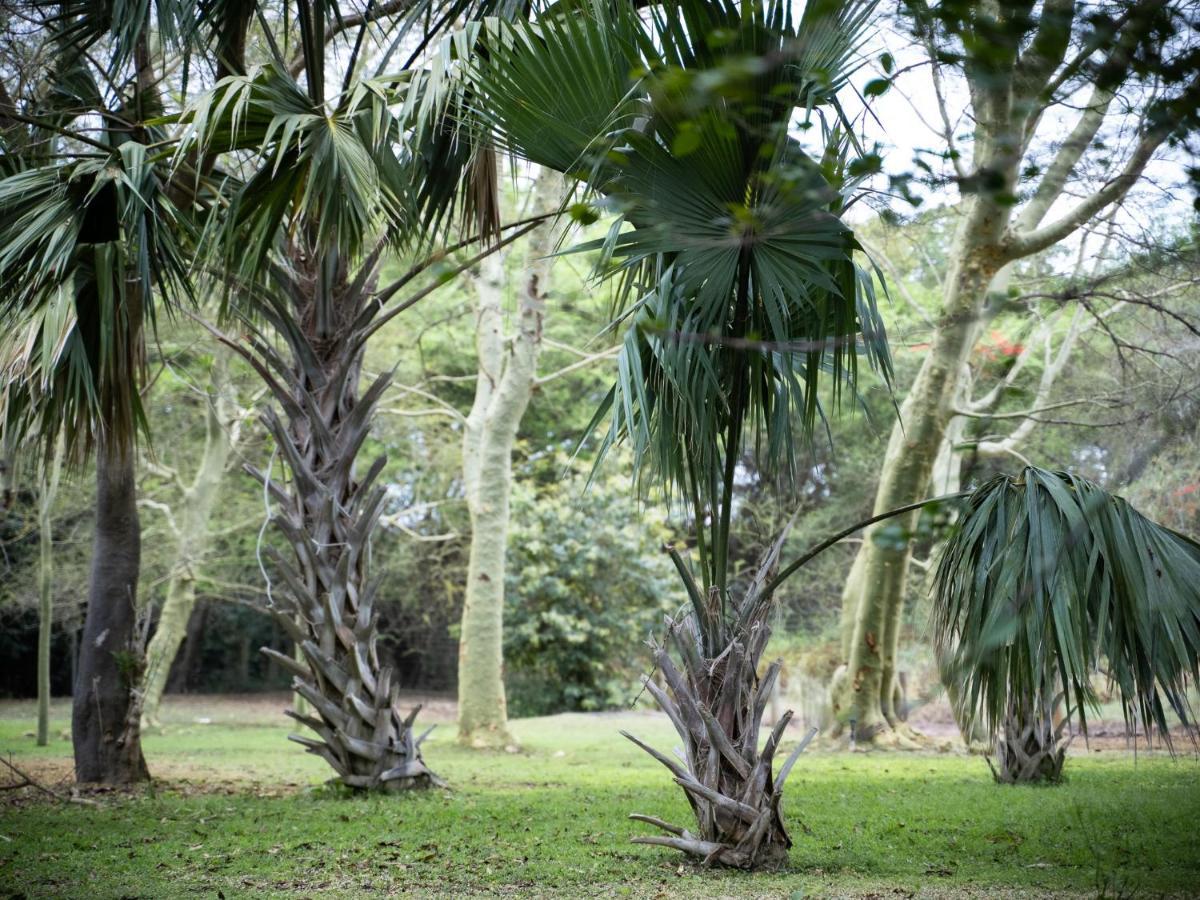 מרלות' פארק Kruger Eden Lodge מראה חיצוני תמונה